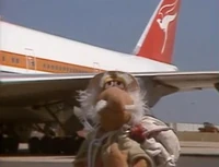 Matt airplane