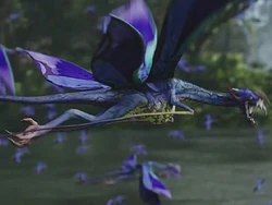Tetrapteron