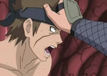 Kaeru ni Kaeru