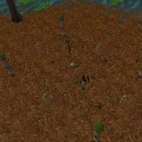 14.7S, 48.0E - Mosswart Shrine Live