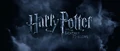 Deathly hallows WBlogo.jpg