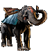 Item bangkok RidingElephant b.gif