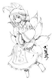 PMiSS ran