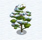 Durian Tree snow