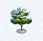 Lime Tree snow