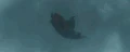 Aresto Momentum.gif