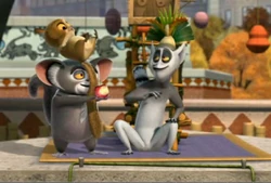 Lemur2