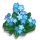 Forget-Me-Not-icon