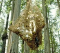 Return of the Jedi Ewok Net.jpg