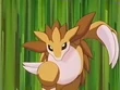 EP143 Sandslash