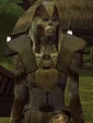 Kymayrr-SWG.jpg