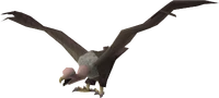 Vulture