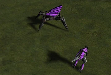 Mantis and Hunter