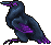 Coriaalagoshatchie.gif