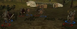 Area-ForestOutcropping