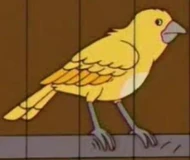 Canaryburns