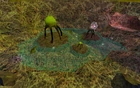 Of bullsquid pond