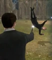 Levicorpus.jpg