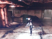 User Chipgambino 5