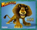 Alex3.jpg