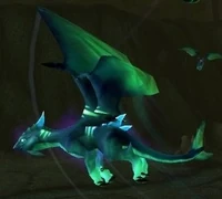 Image of Mature Netherwing Drake