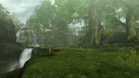 GrtForest-Area1