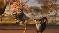 Lemurs2.jpg