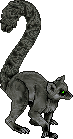 Darkrazanlemuradult.gif