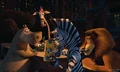 Madagascar02.jpg