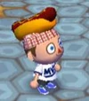 The Hotdog Hat