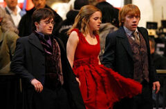 Deathly hallows the trio2