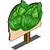 Cabbage