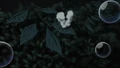 Acid Flower.PNG