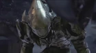 Arbiter & Zealot