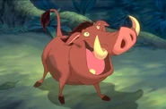 PumbaaBows