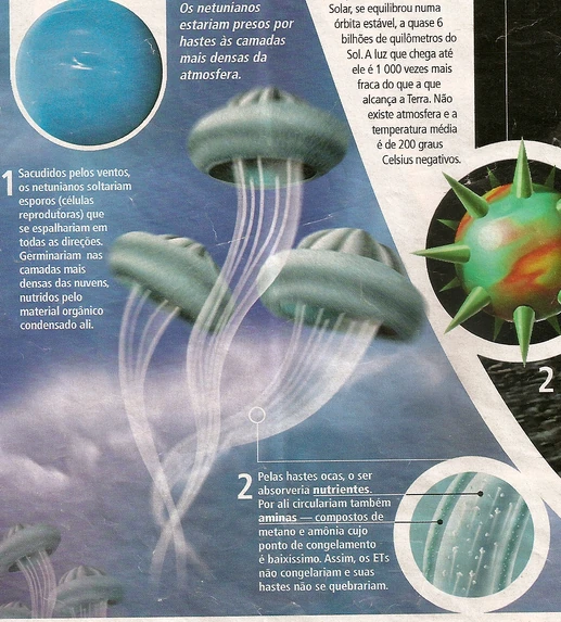 517px-Superinteressante_Neptunian.png