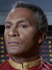 Stone Commodore