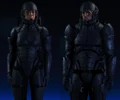 Heavy-human-Guardian.png