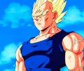 VegetaMajinVsFatBuu