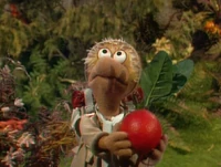 Matt radish