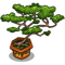 Bonsai Tree-icon