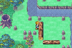 MogallForestPuzzle