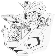 Nrx-0015-hatch