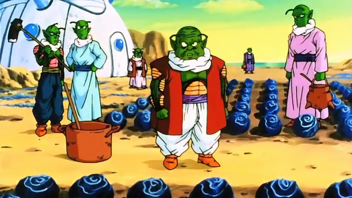 I have never seen a Namekian woman.... edit: men with dresses. 
