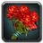Inv rosebouquet01