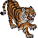 Item chinesetiger