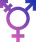 Transmogrification