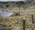 Charcoal production.jpg