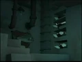 Penguin-Habitat 2.JPG