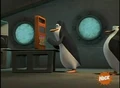 Penguin-Habitat 4.JPG
